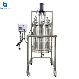 10L 50L Stainless Steel Solid Phase Reactor