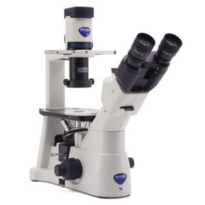 SERIE IM-3 Microscopios invertidos de laboratorio de rutina